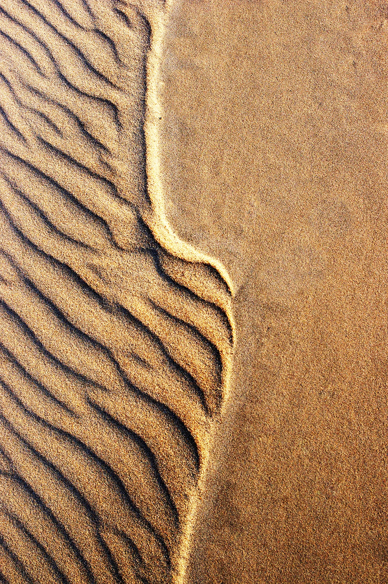 Wind and Sand Dialogues series, Martynas Lapas (Lithuania)