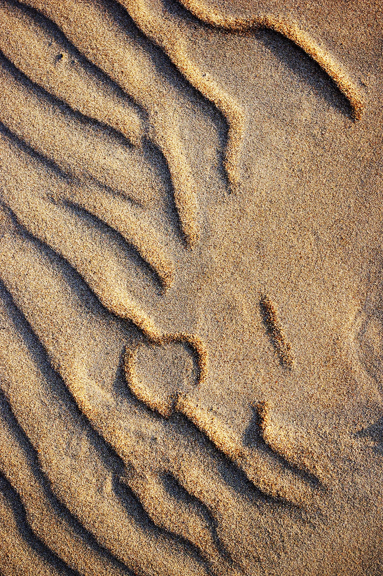 Wind and Sand Dialogues series, Martynas Lapas (Lithuania)