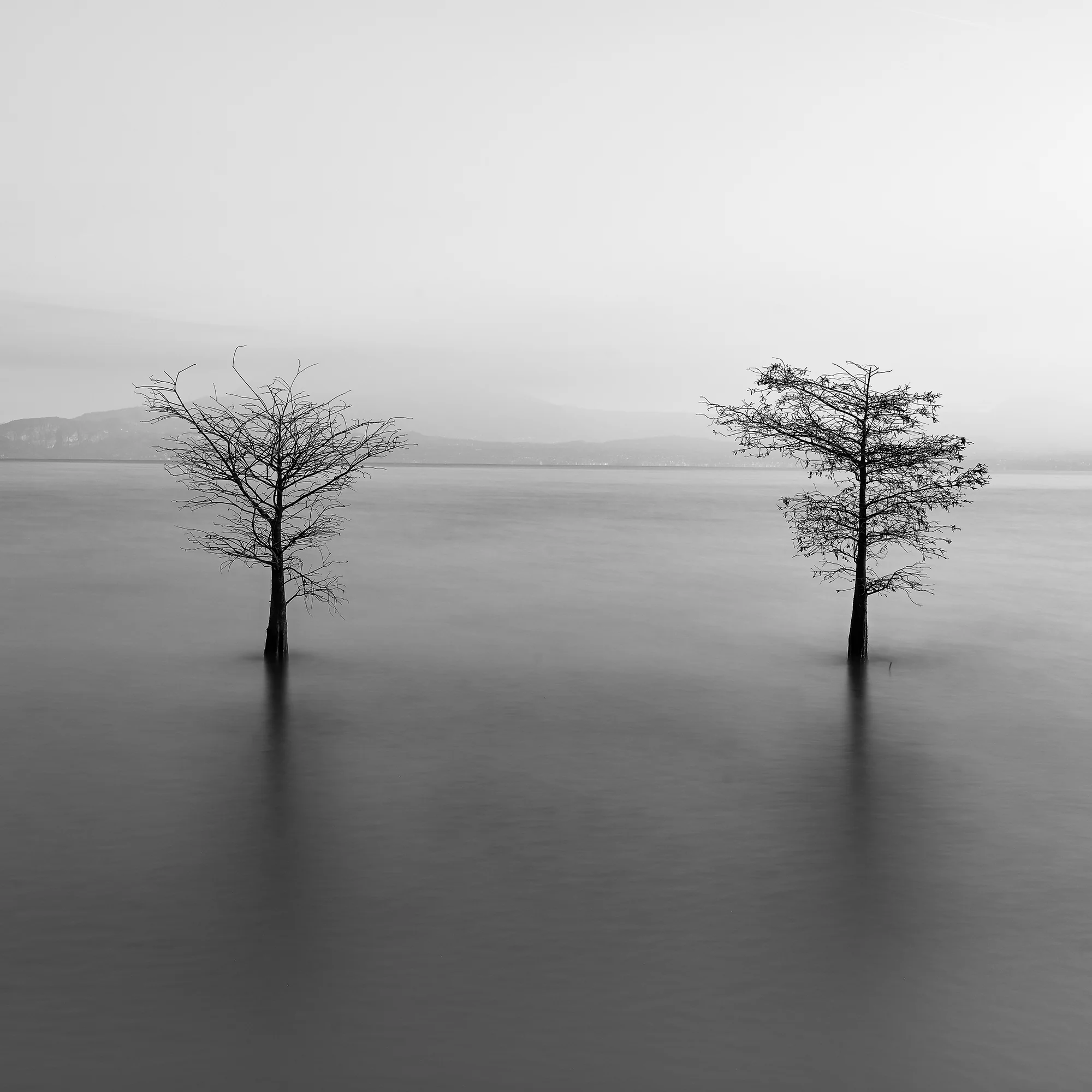 Resilience in water, Marcello Massaro (Italy)