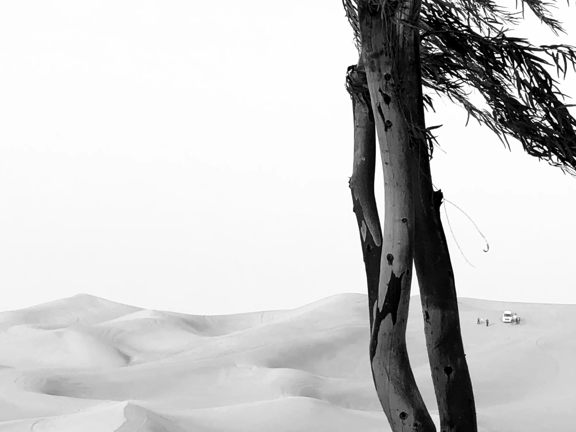 A Free Soul Thinking in the Desert with Wind, Hao-Long Hsu (Taiwan)