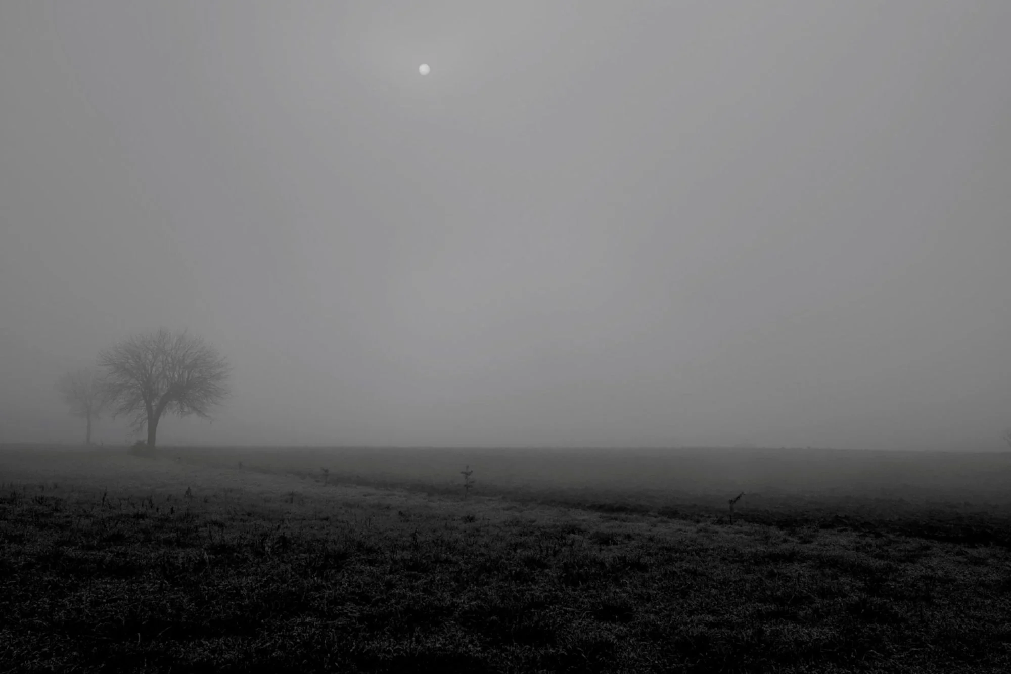Silence, Catia Montagna (UK)