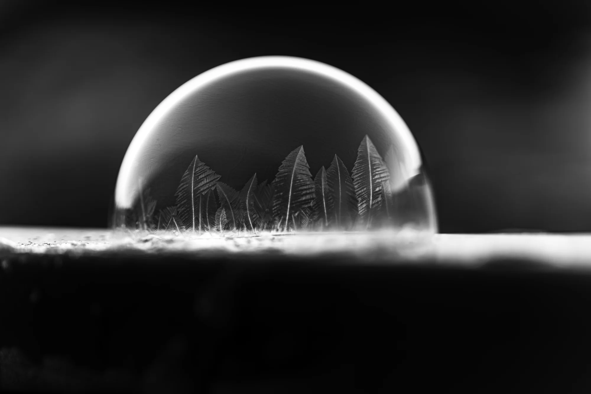 Frozen Soap Bubble, Michael Schwab (Austria)