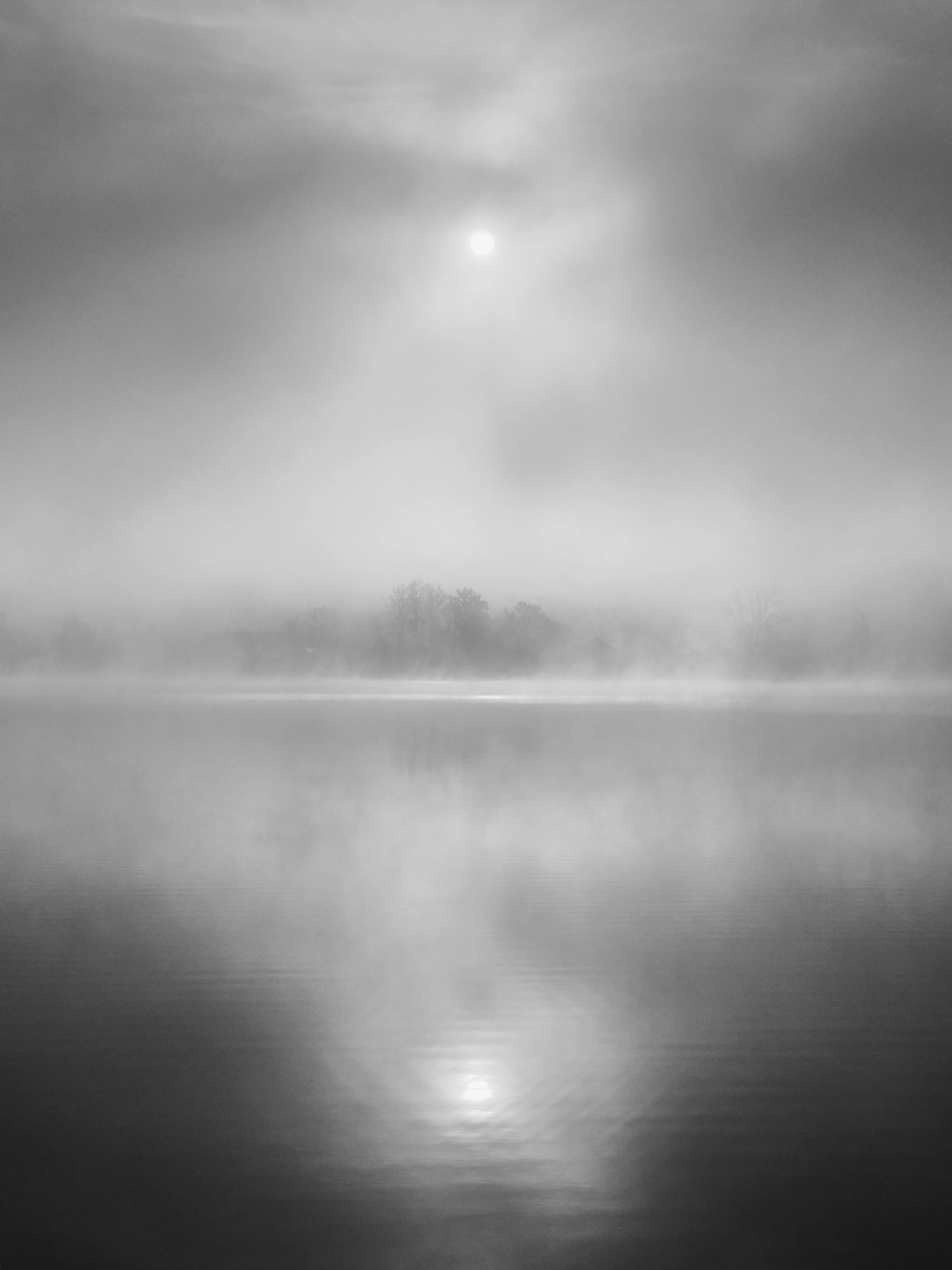 Foggy Morning, Andreas Starke (Germany)