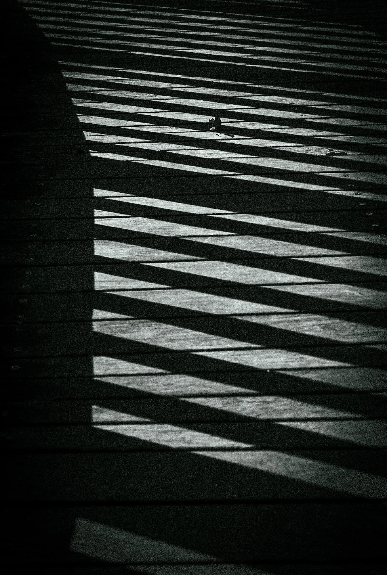 Measured, Kouki Ogawa (Japan)