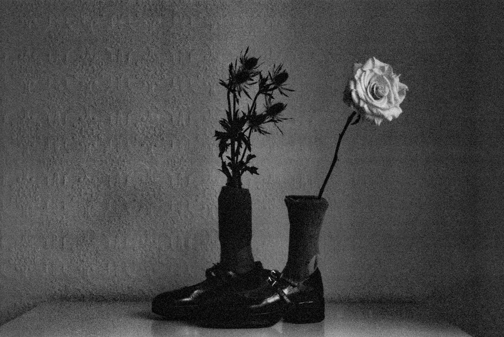 A Pair of Feet Someone Removed at the End of the Day, Leila Prosperi (Italy / UK)