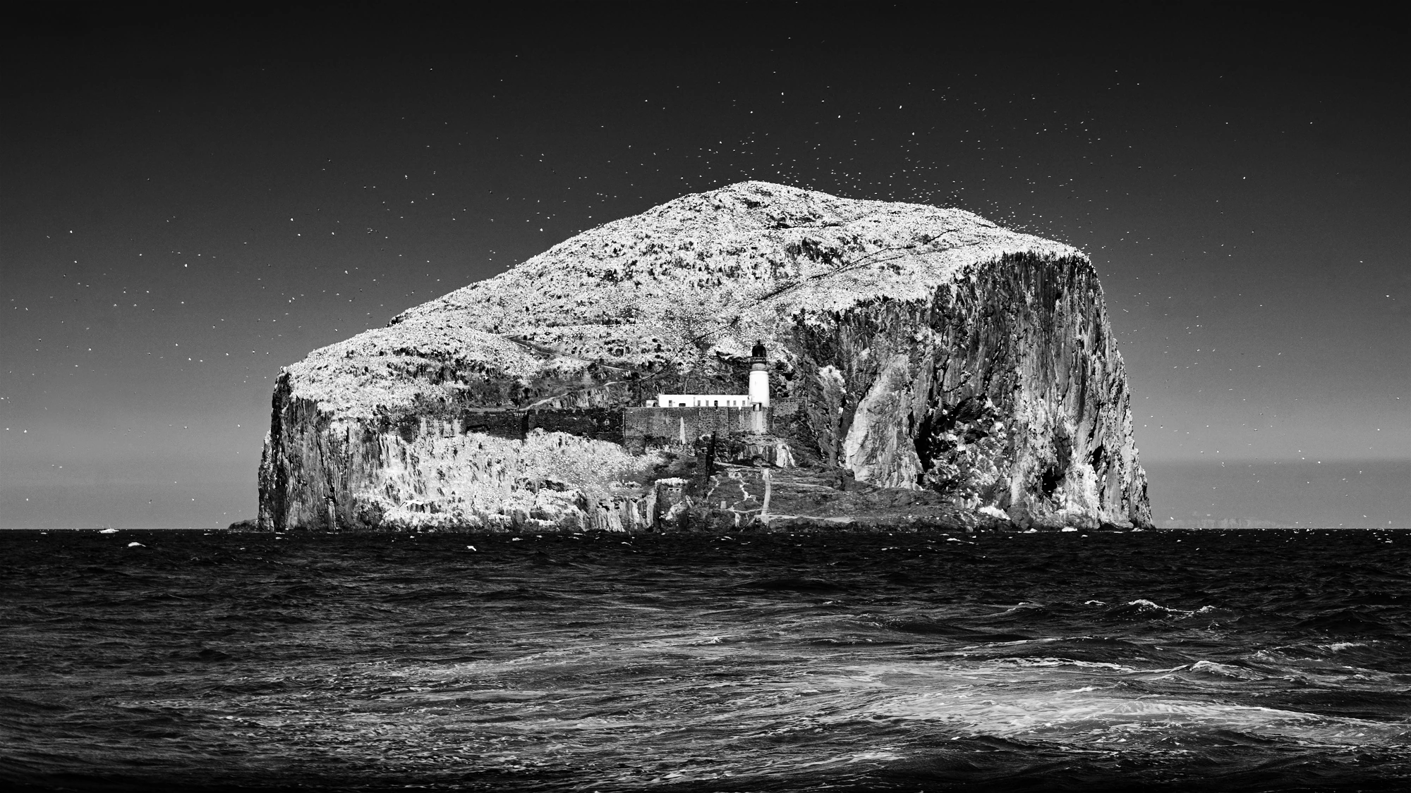 Bass Rock, Gordon Jenkinson (Scotland, UK)