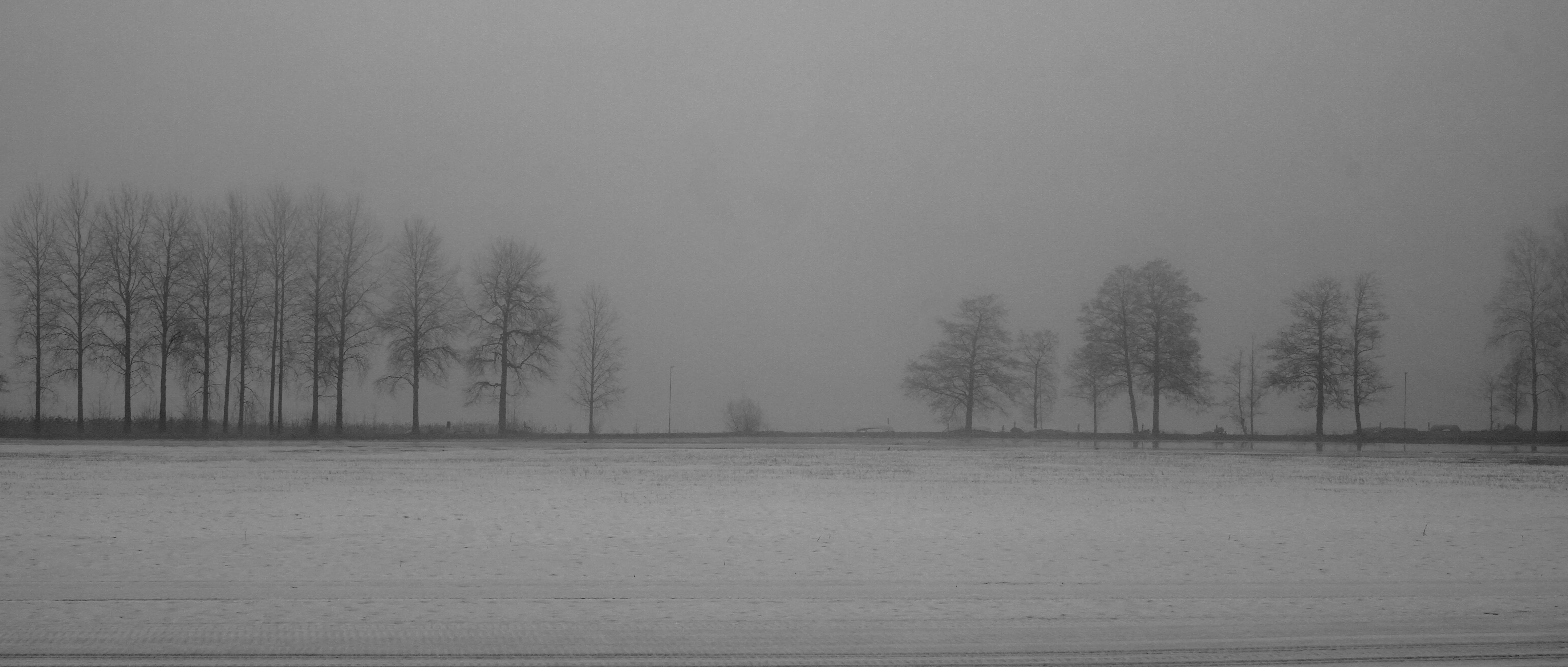 Untitled, Zichen Lan (China)