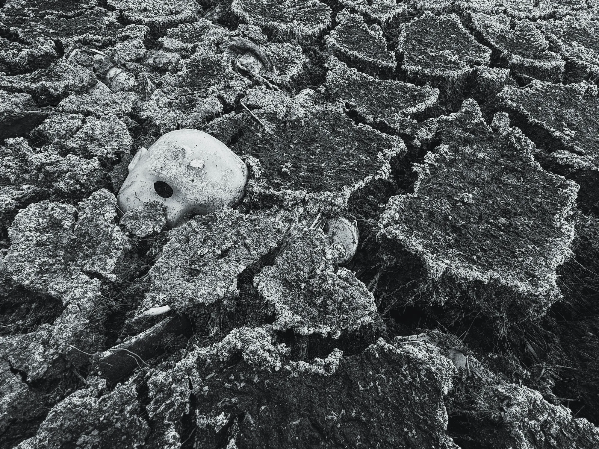 Beneath the Surface, Anita Mókus (Hungary)