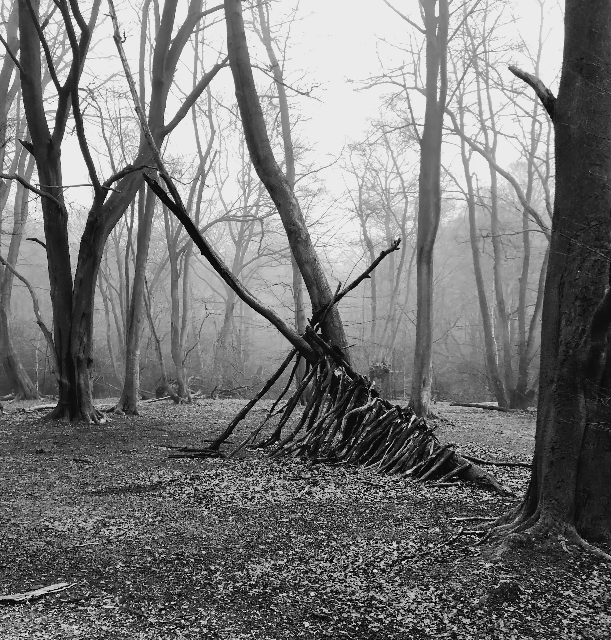 Samhain, Adam Brown (UK)