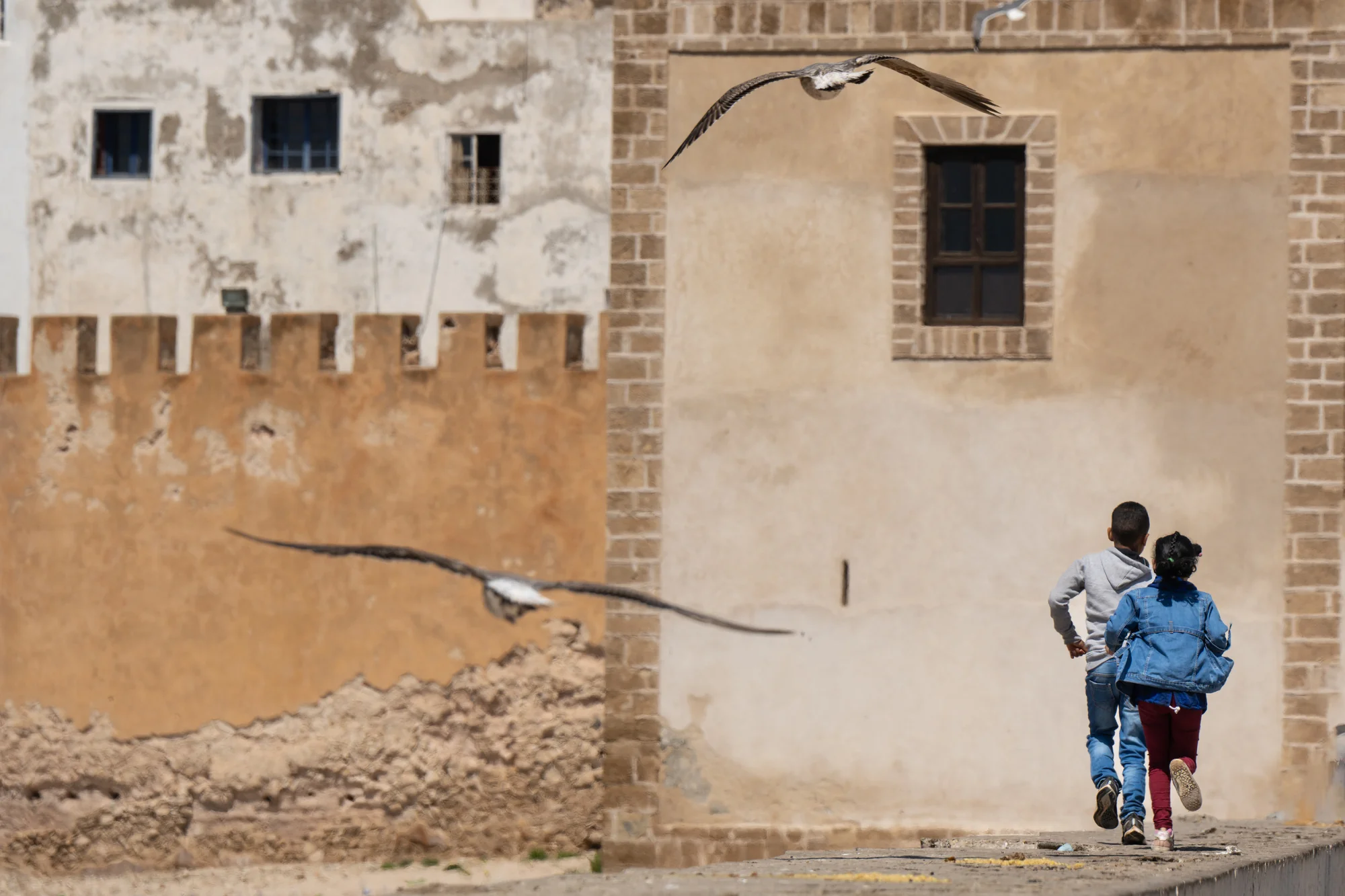 Crossing Paths, Shiri Malca (Israel)