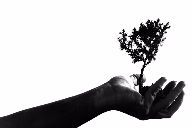 A hand holding a plant