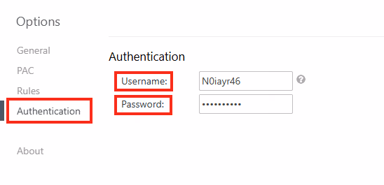 proxy authentication tab screenshot