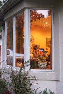 Window Companies Pensacola FL