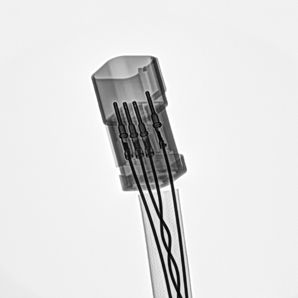 Two Nimbus Library founders in a minimalist office, showcasing the professional and versatile use of the library.