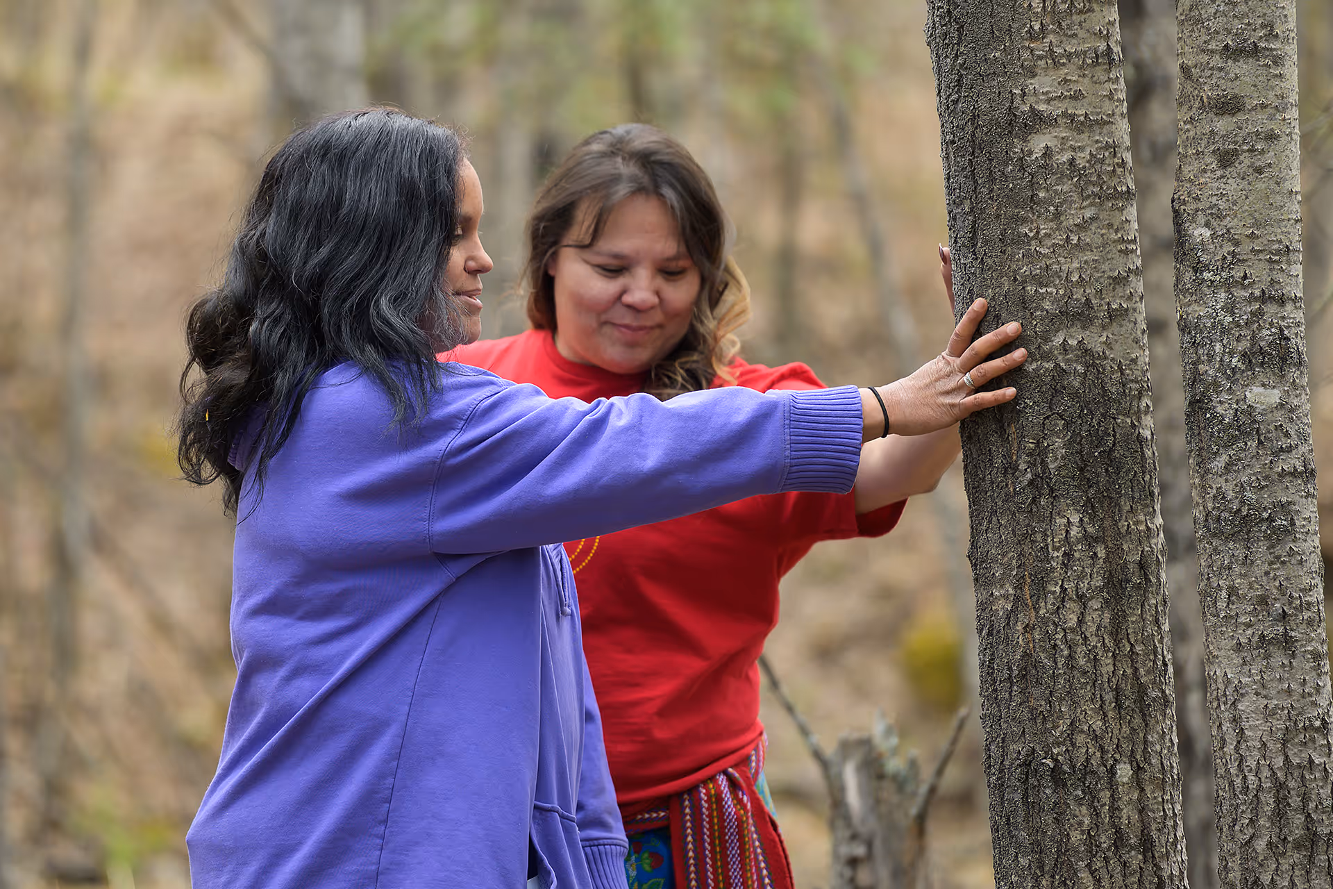 Participant placing hands on a tree during a guided outdoor cultural wellness grounding activity