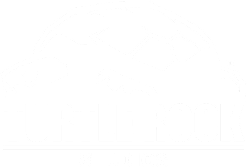 Logo of Turtle Rock Studios featuring a turtle above the studio name.