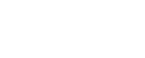 NetEase Games logo featuring a stylized swirling wing design to the left of the text.