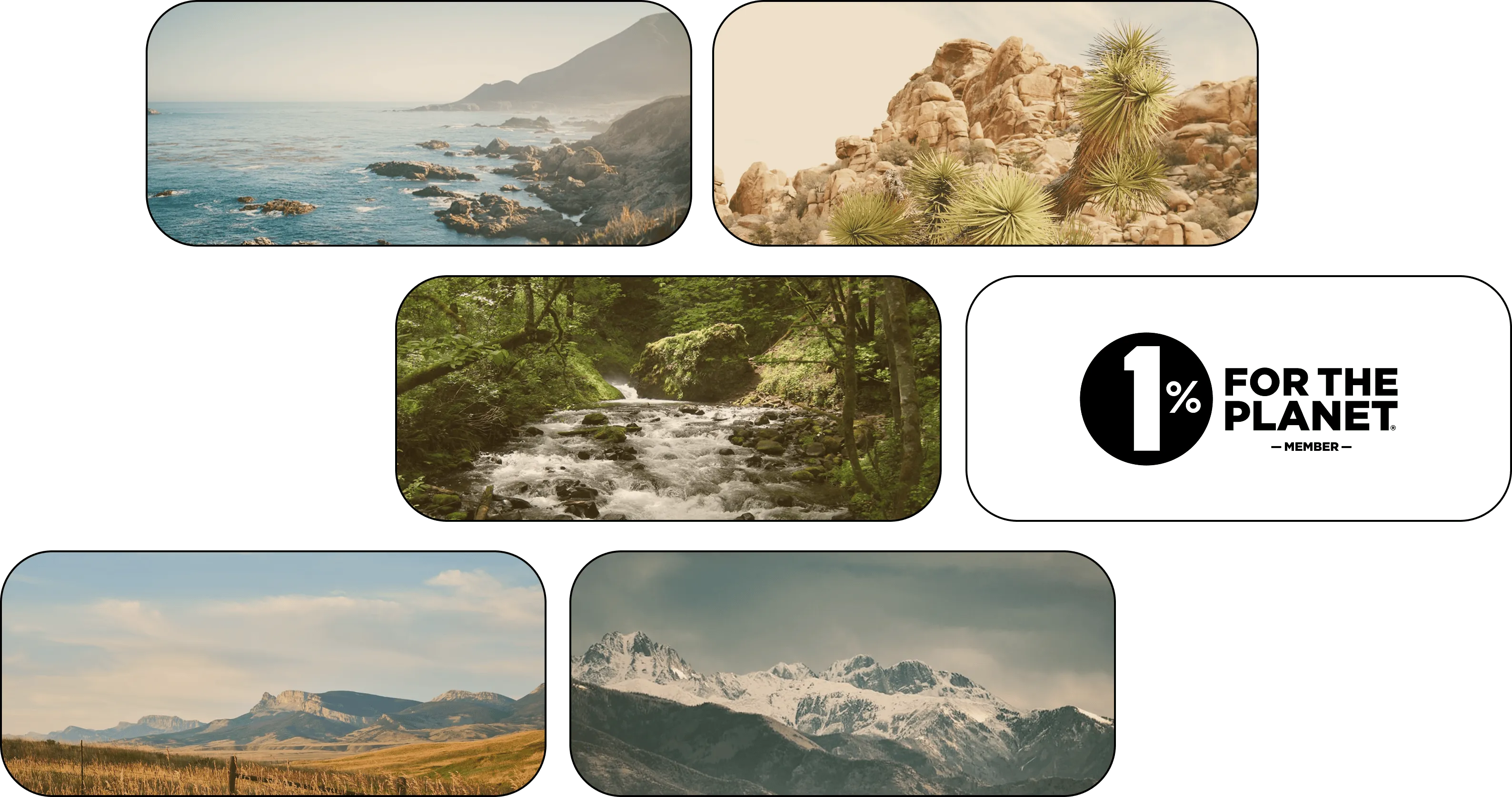 Collage of five landscape scenes: rocky sea coast with misty mountains, desert with Joshua trees and rock formations, forest stream flowing over rocks, dry grassy plain with distant mountains under a blue sky, snowy mountain peaks under a cloudy sky.