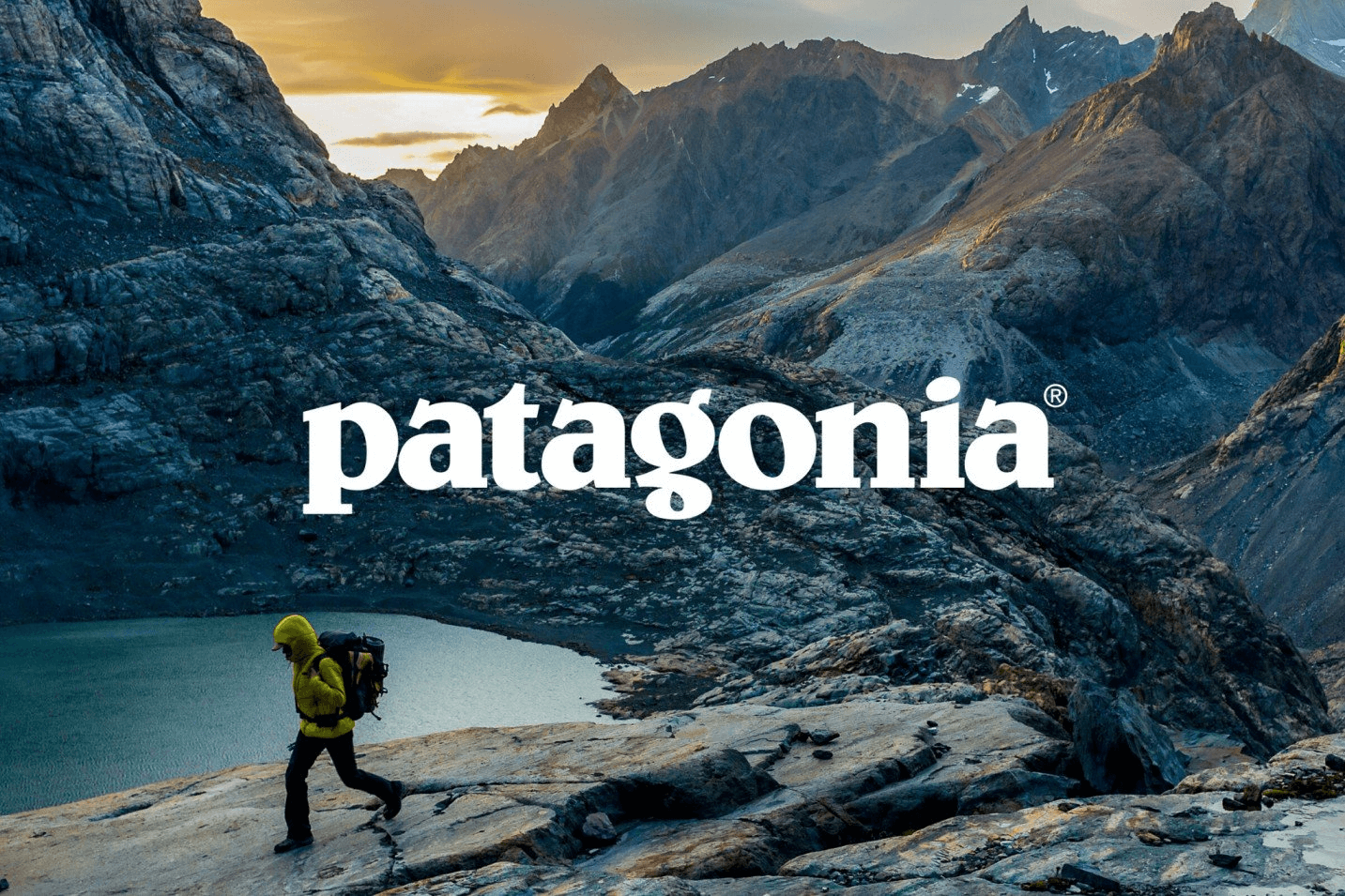 Patagonia: A Purpose-Driven Brand Built on Action
