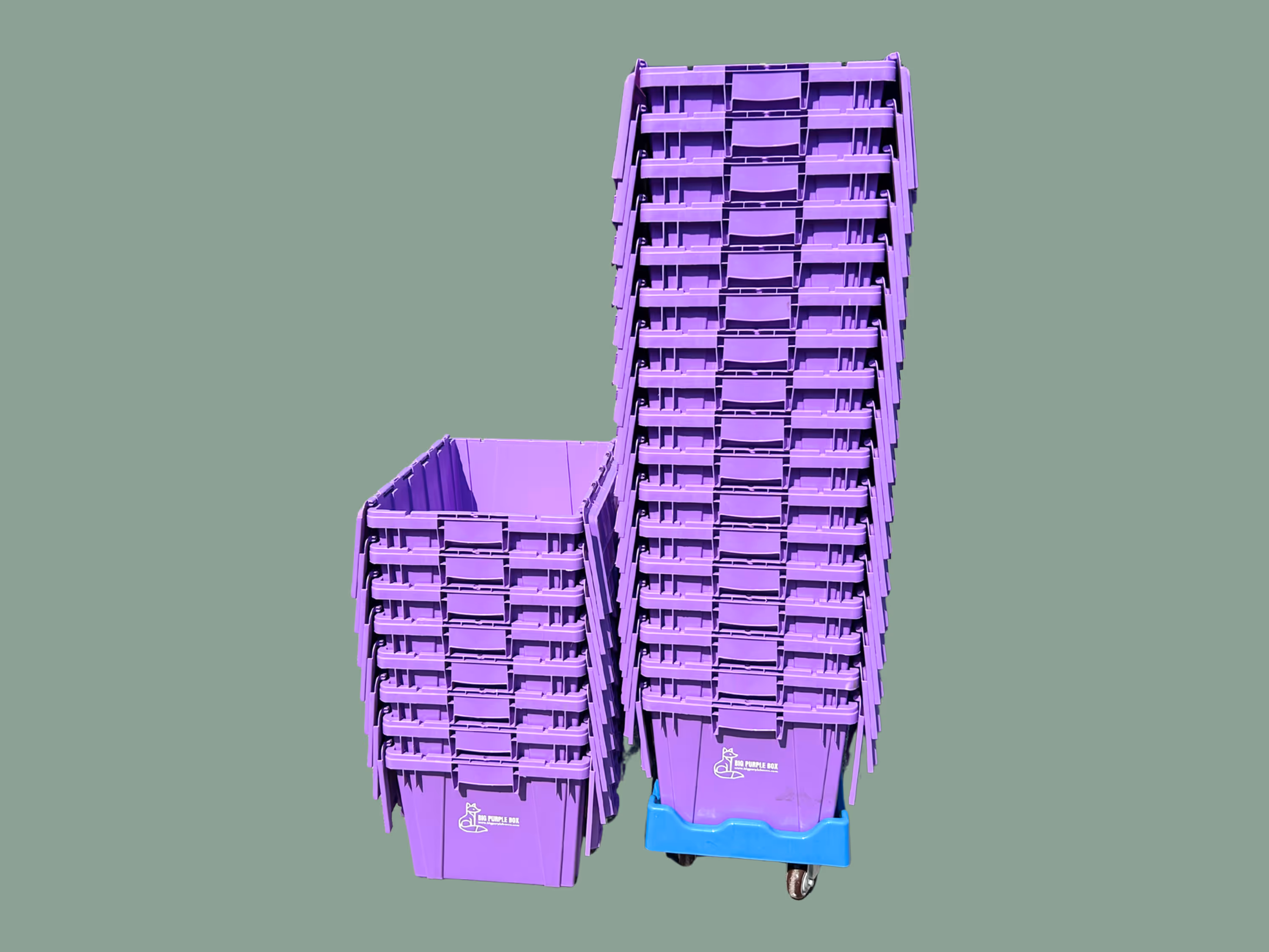 Image of 25+ purple boxes