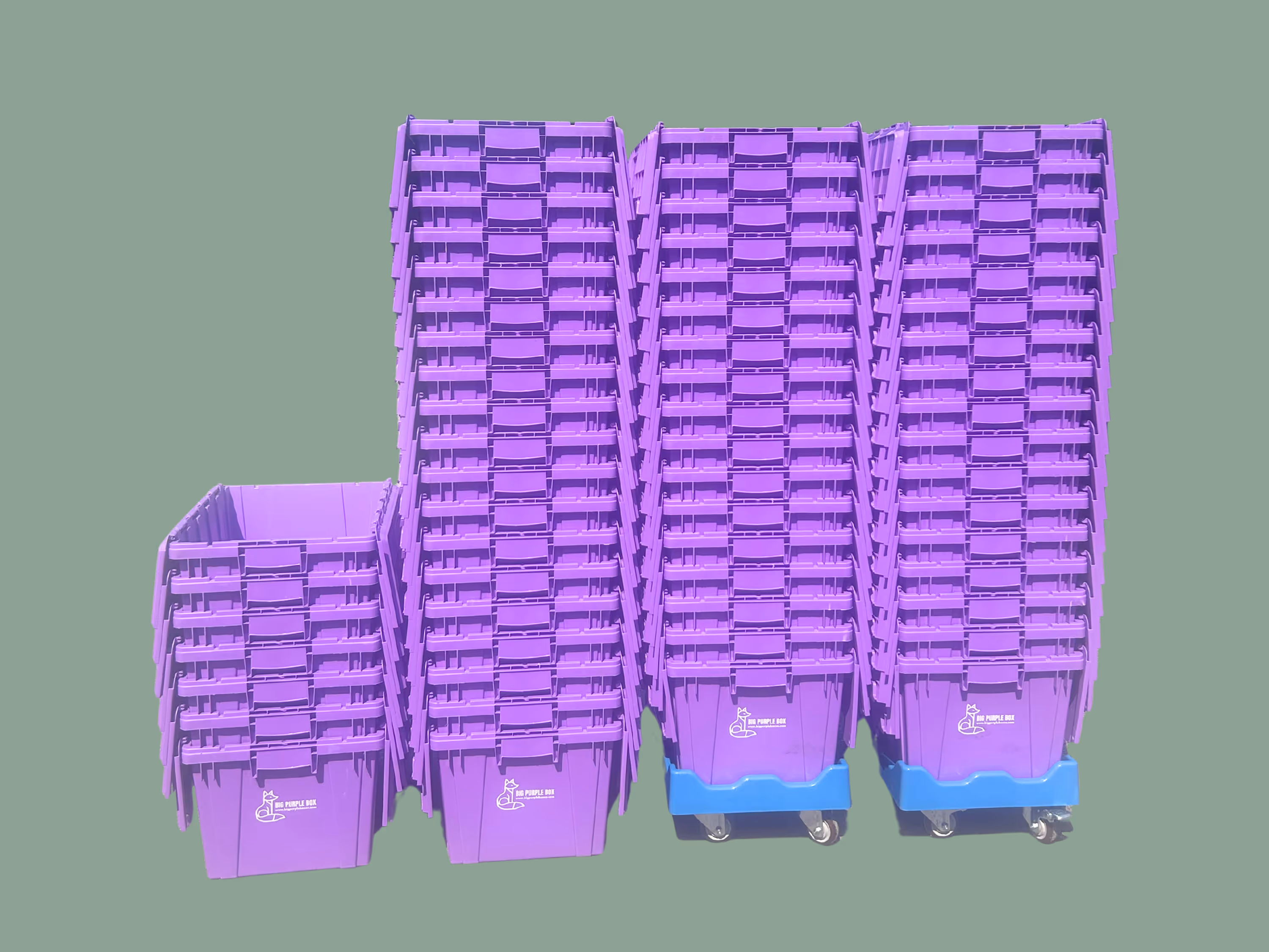 Image of 60+ purple boxes