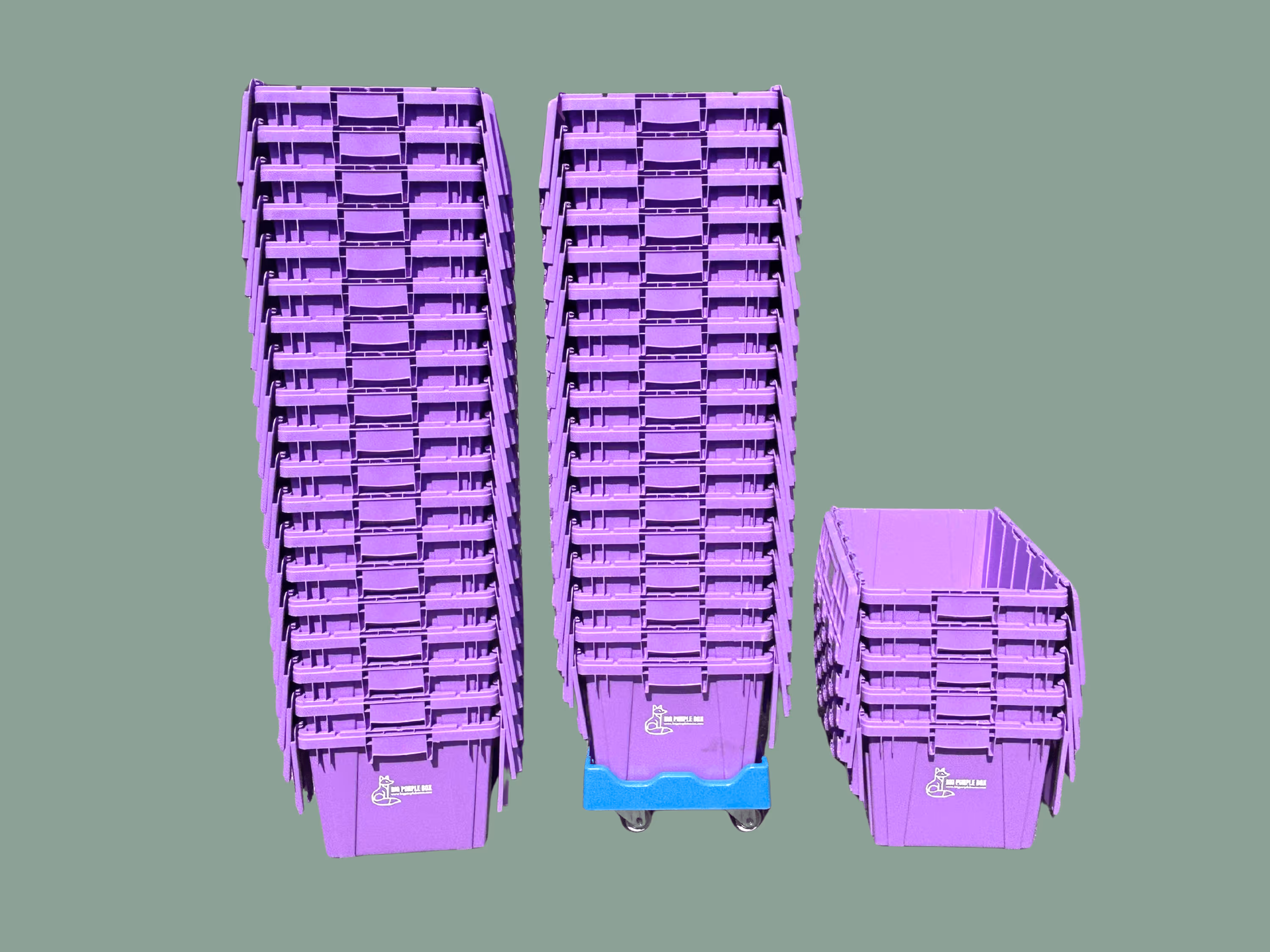 Image of 40+ purple boxes
