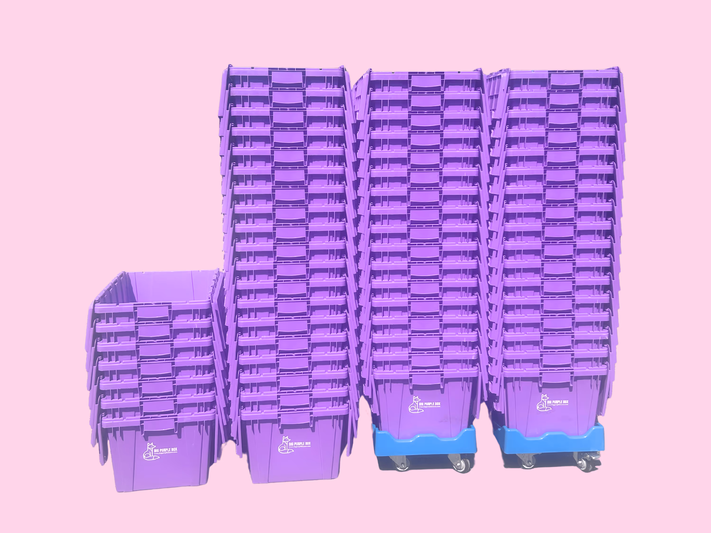 Image of 60+ purple boxes
