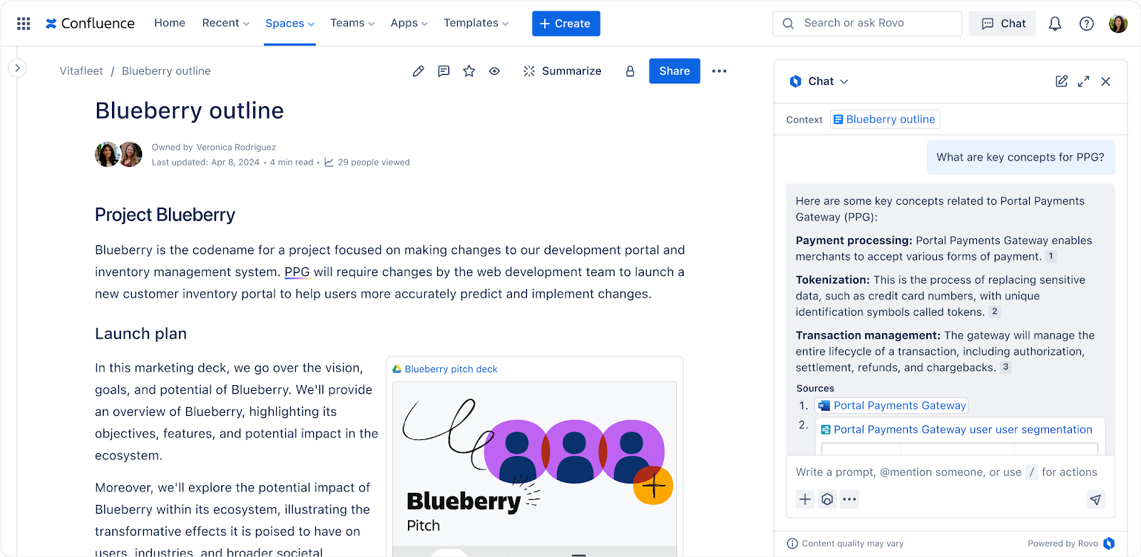 rovo ai developer tools