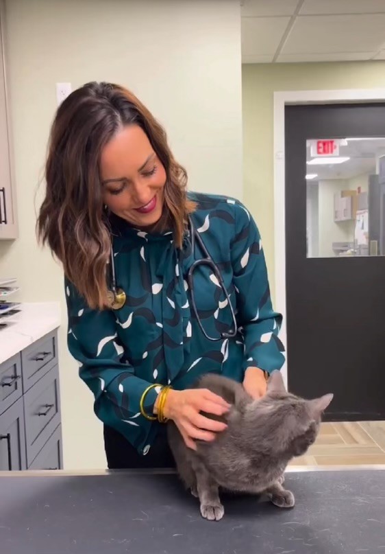 Dr Kendra Pope performing a pet oncology check-up on a cat, using integrative approaches to support cancer treatment.