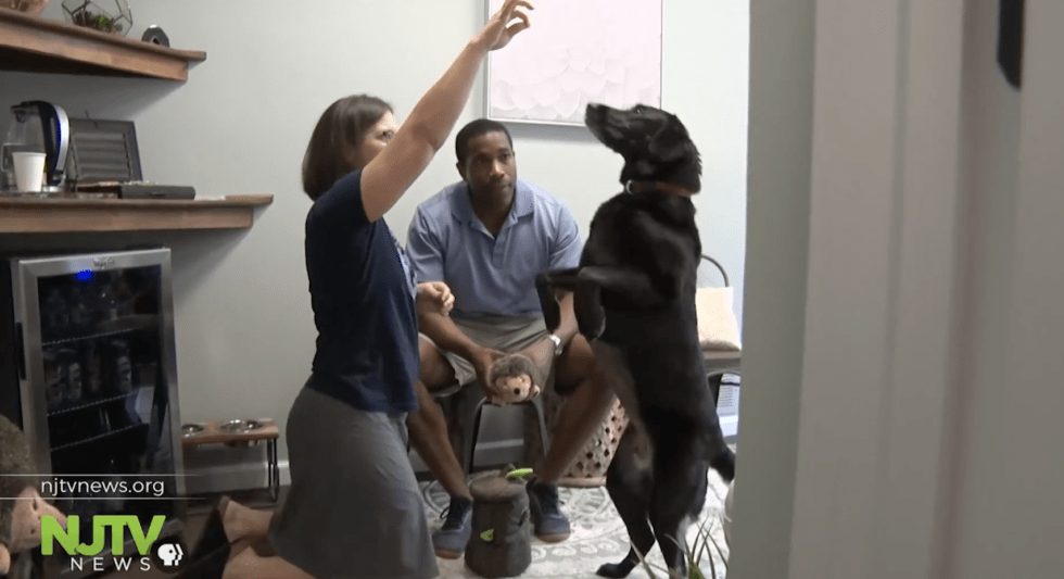 Veterinarian engaging with a happy dog, emphasizing trust and care as part of integrative diagnostics for pets in New Jersey.