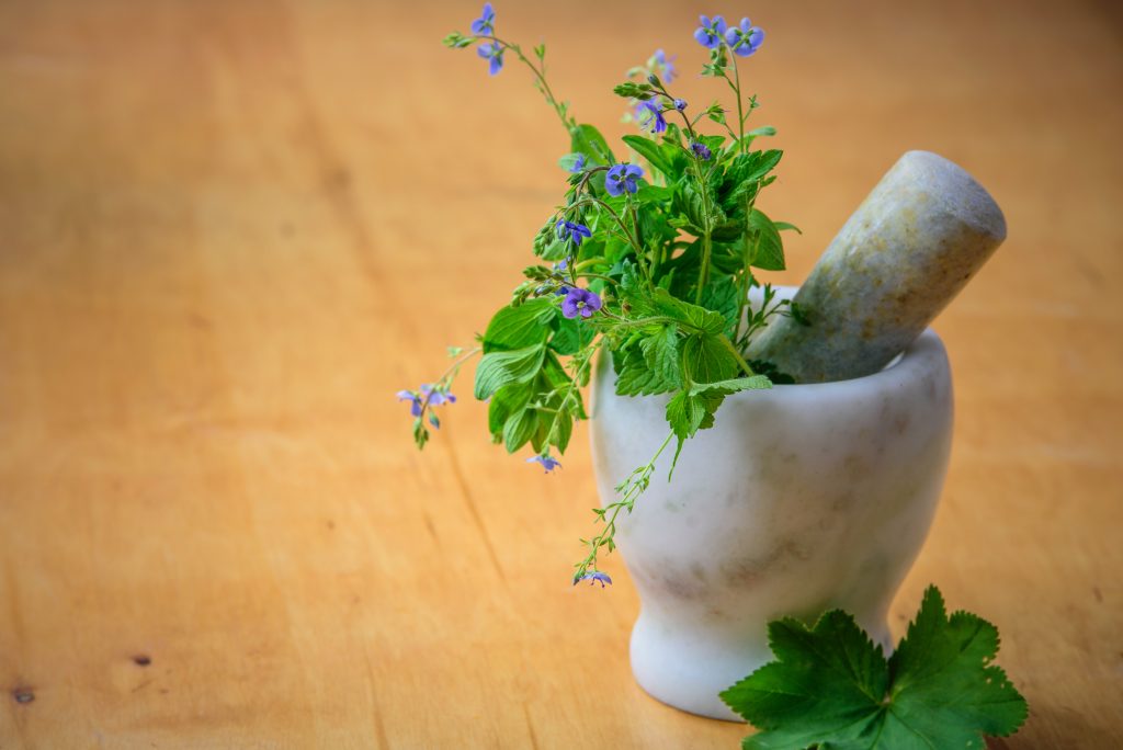 herbs and supplement for pets