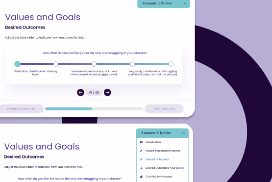Interactive lesson screen showing a values and goals slider activity with progress navigation.