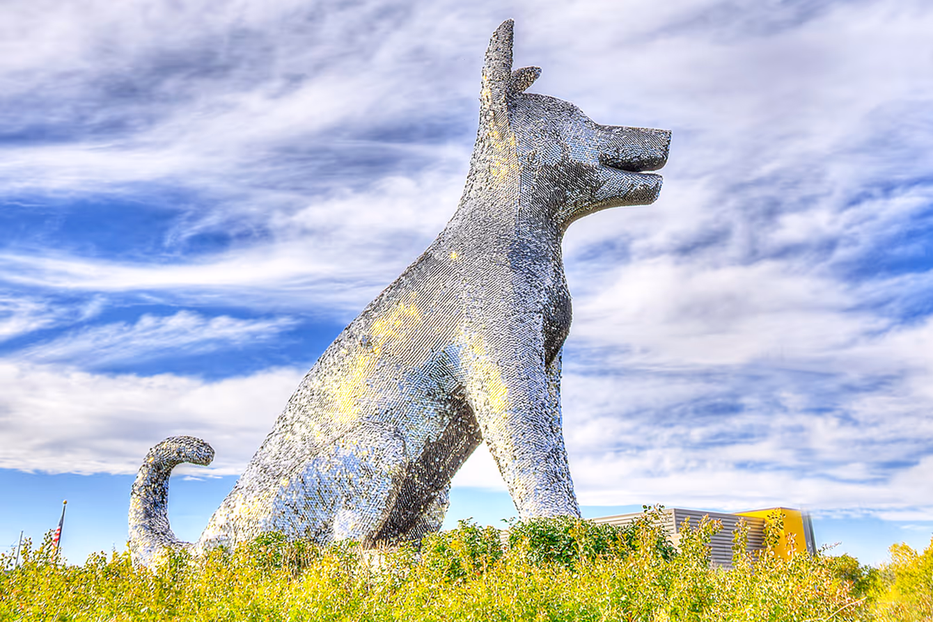 Large metallic dog sculpture sitting in a field with a blue sky and clouds in the background.