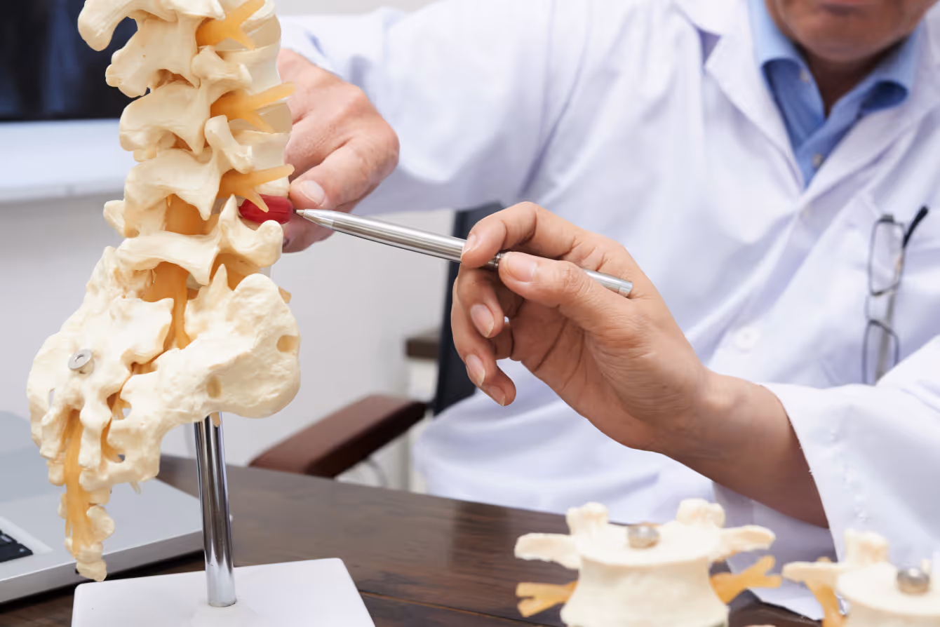 Doctor pointing to a spinal model with a pen during a patient consultation or medical explanation.