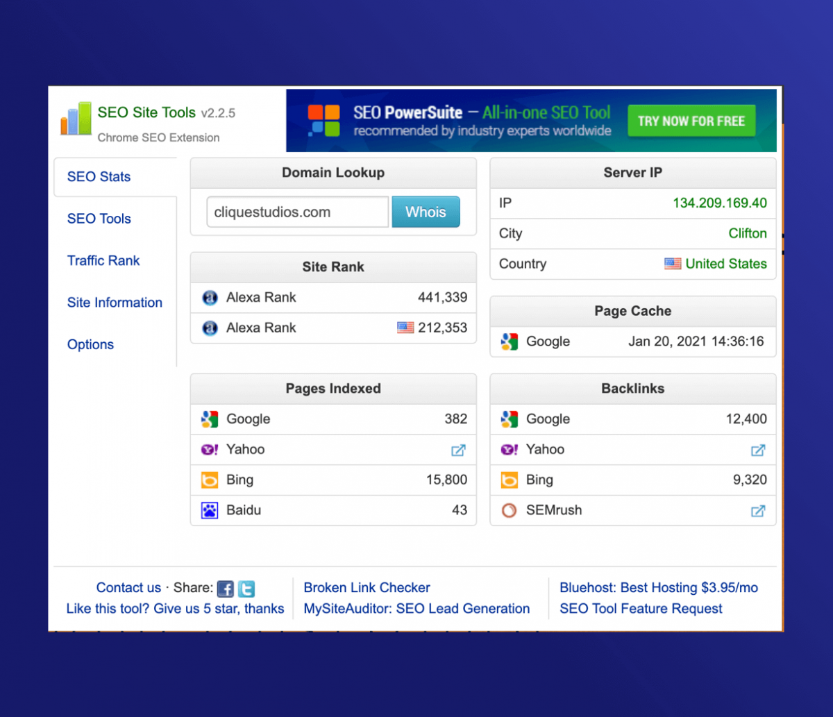 A screenshot of the SEO Site Tools’ results from a website