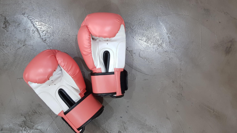 pair of boxing gloves