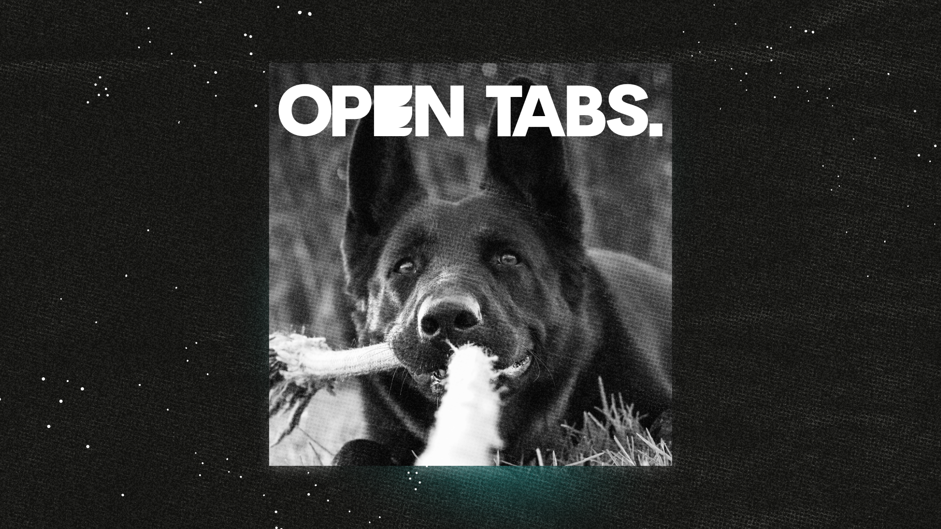 Black and white photo of a dog playing tug-of-war against a black background with stars.