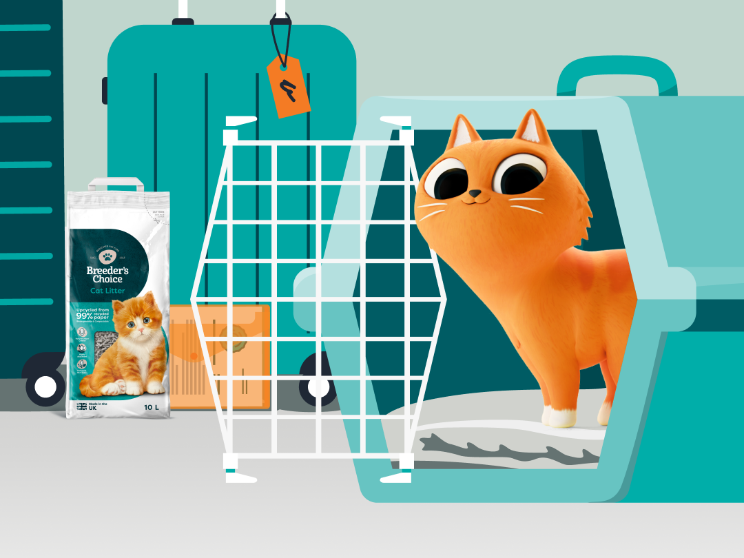 Taking Your Cat on a Summer Holiday: The Ultimate Guide to Car and Plane Travel