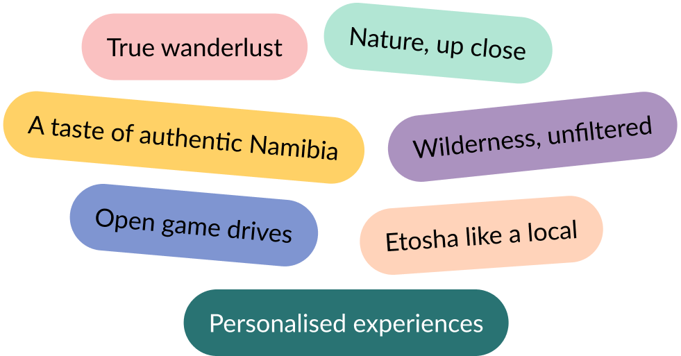 Summary of value proposition for Matias tours and safaris