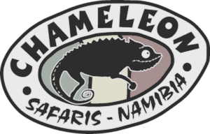 Chameleon company logo