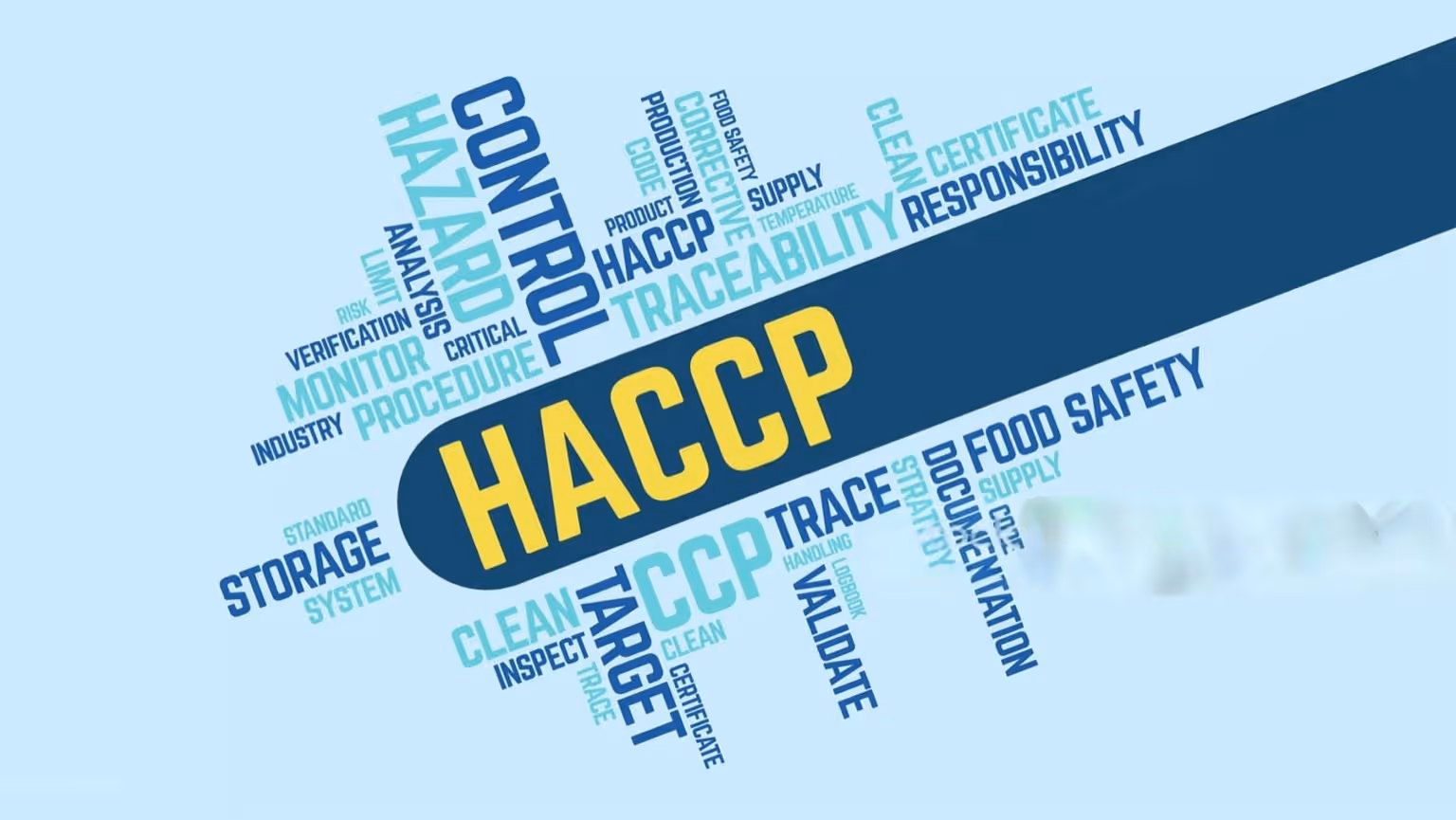 Word cloud centered on HACCP with related terms like control, hazard, traceability, procedure, food safety, verification, and documentation on a light blue background.