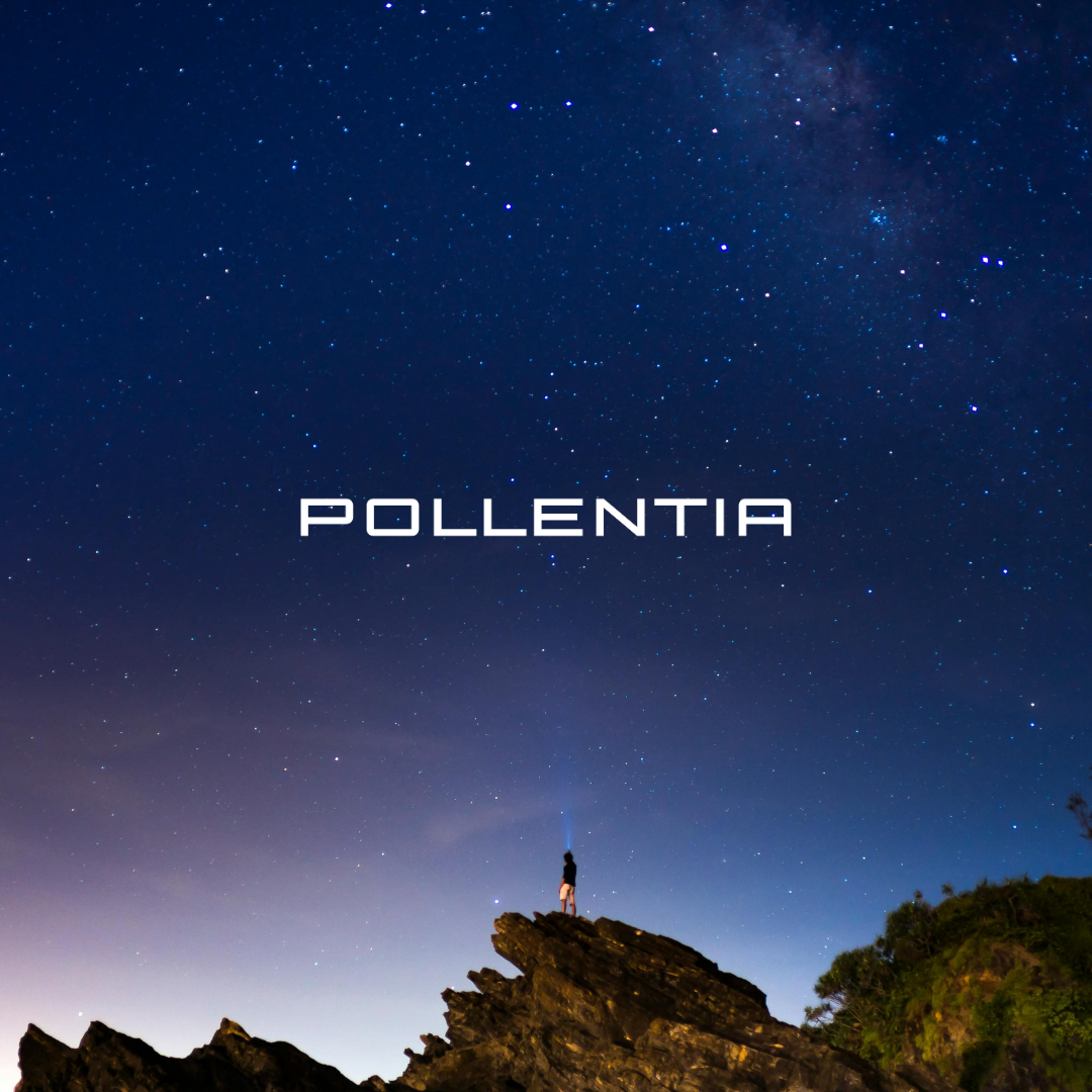 Pollentia Accepted Into the Exclusive LvlUp Labs Program — and Caps It Off With a Demo Day Win