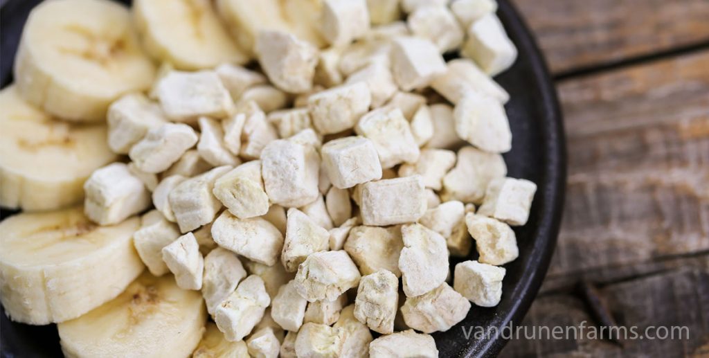 Advantages of freeze-drying - banana