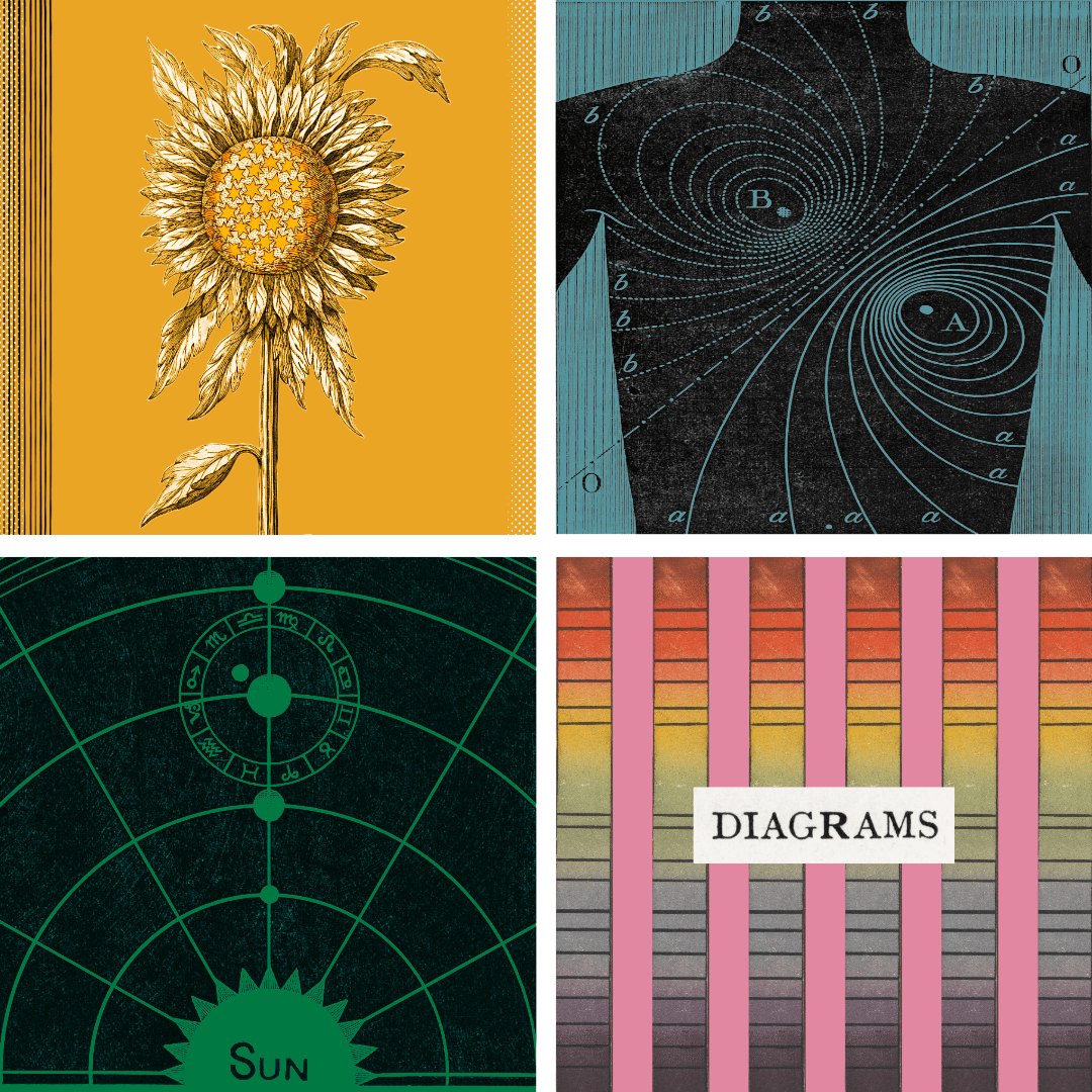 Album cover design with a grid of images showing a sunflower and diagrams