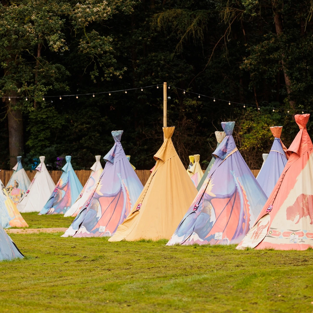 multiple festipi tents