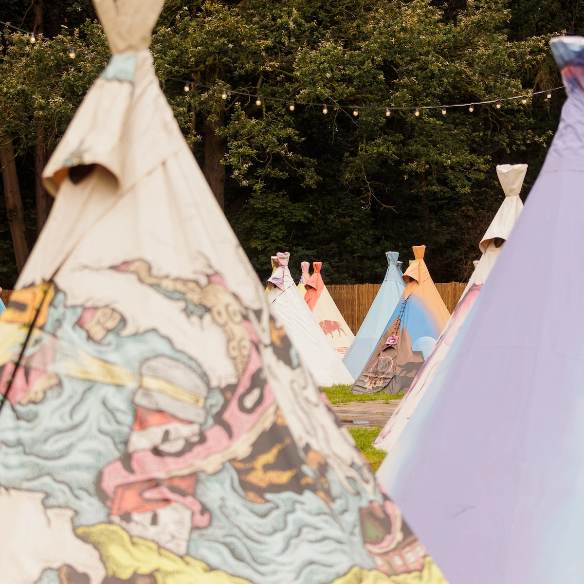 multiple festipi tents