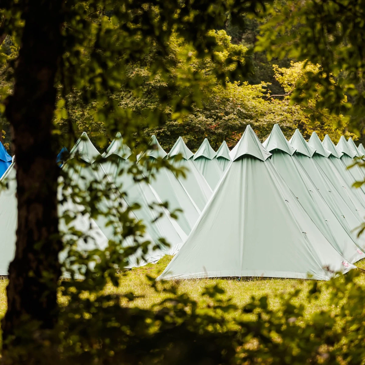 multiple plus tents