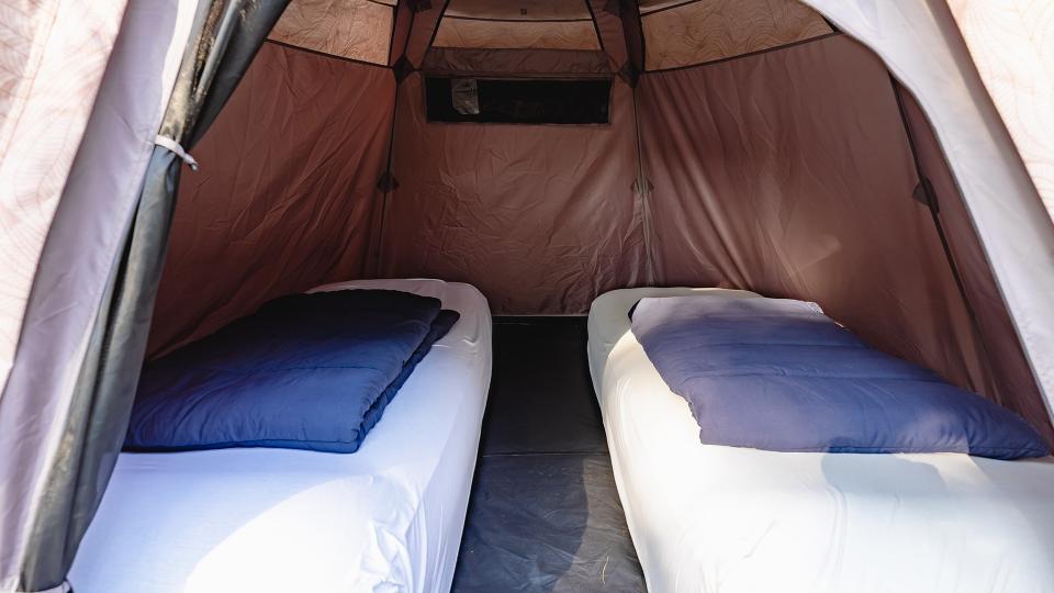 the regular tent