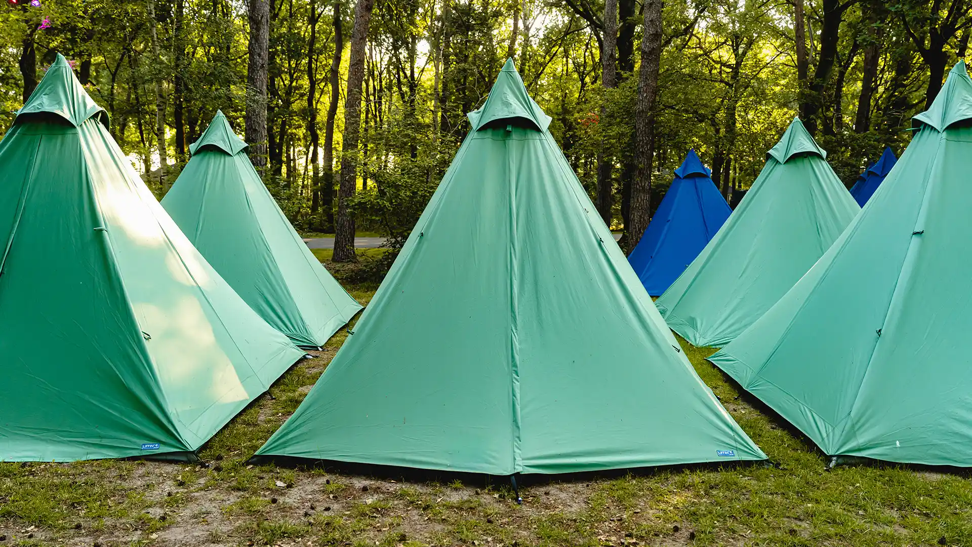 multiple plus tents