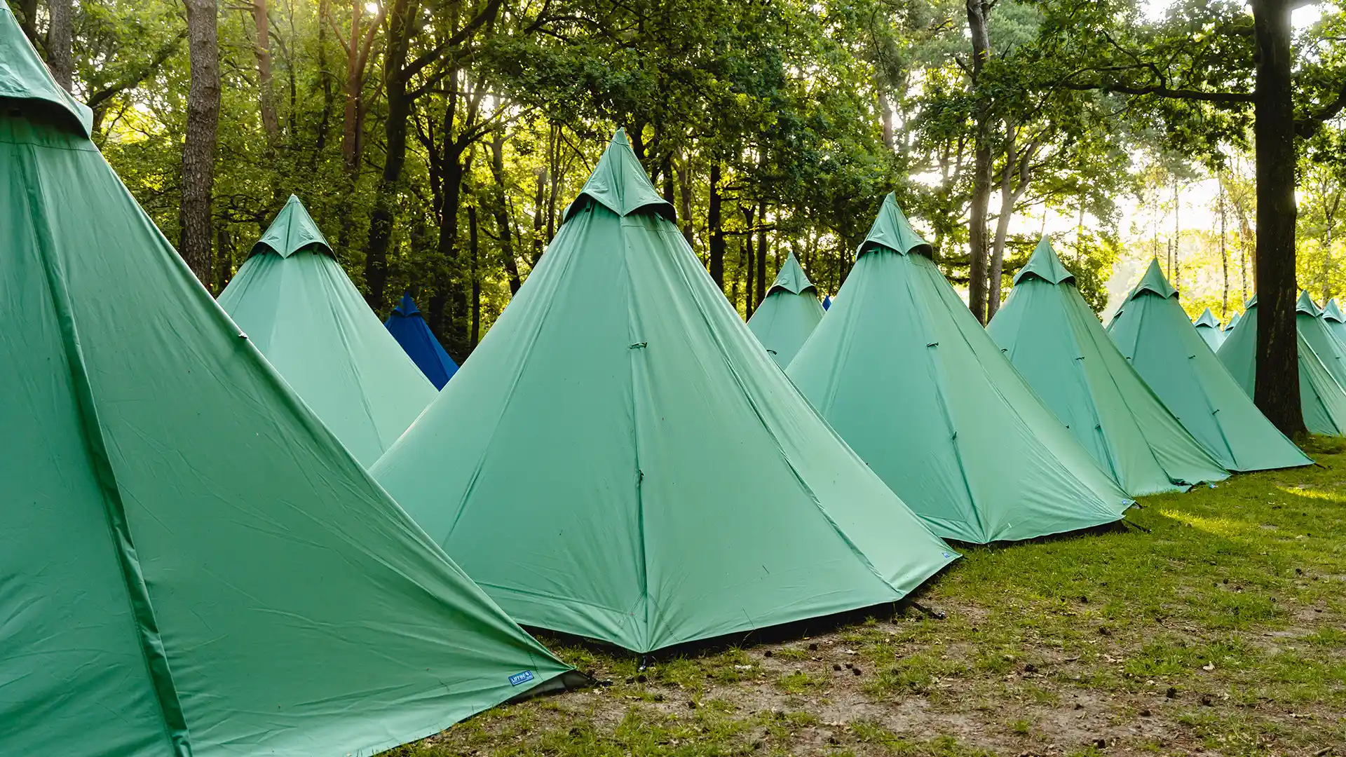 multiple plus tents
